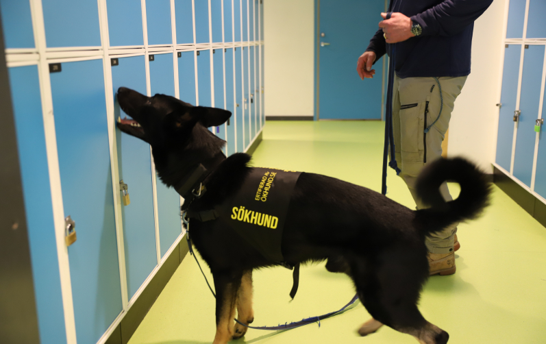 Hundsök i skolorna ett sätt att skapa trygghet och verka brottsförebyggande.